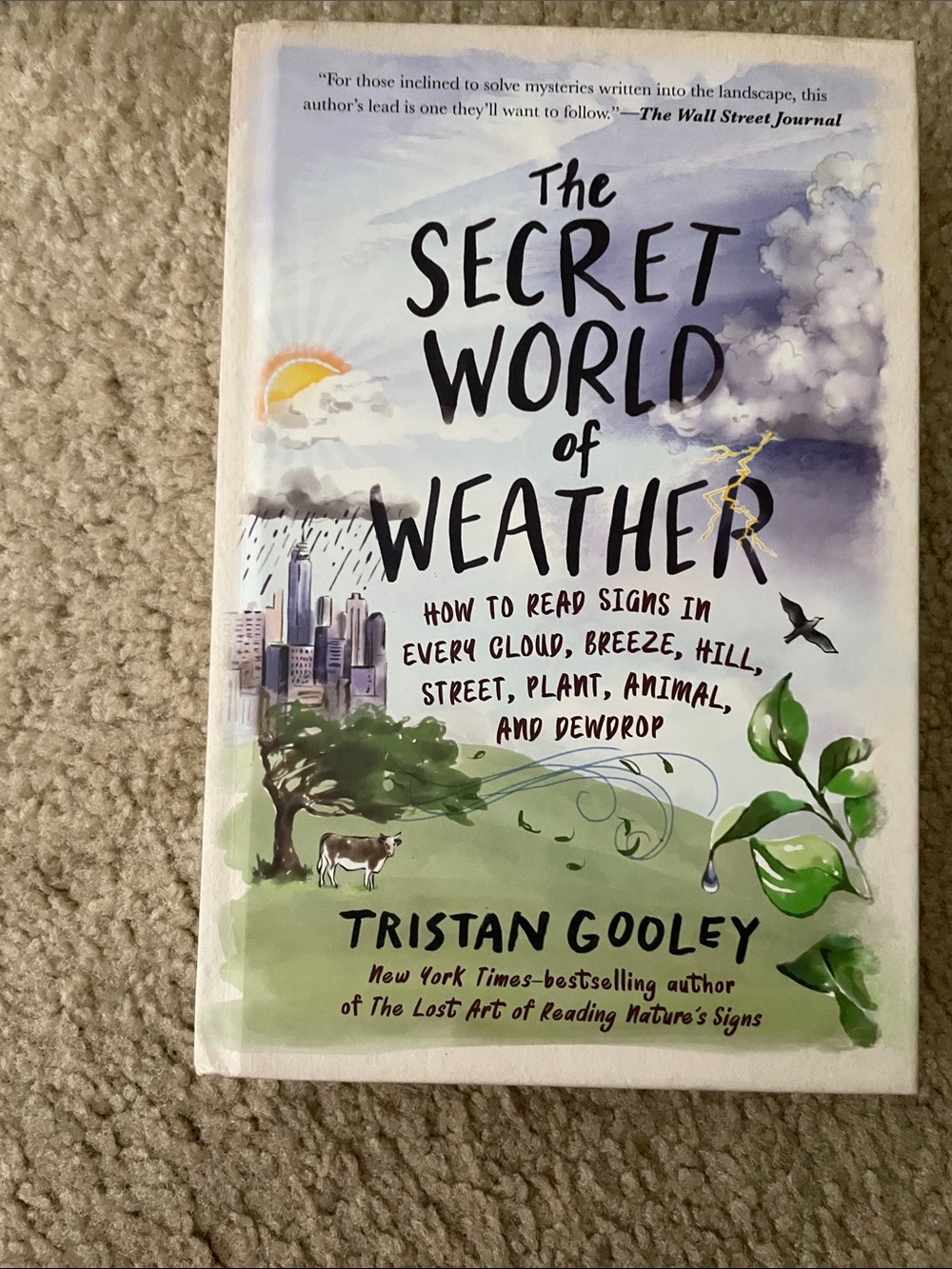 Book - The Secret World of Weather